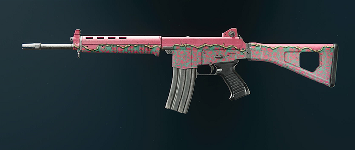 Black Ops 6 - Burial Camo