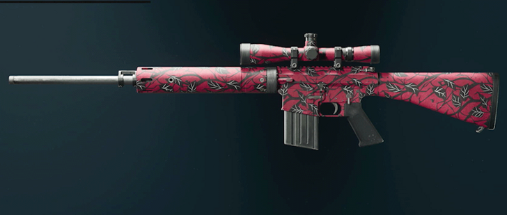 Black Ops 6 - Furybloom Camo
