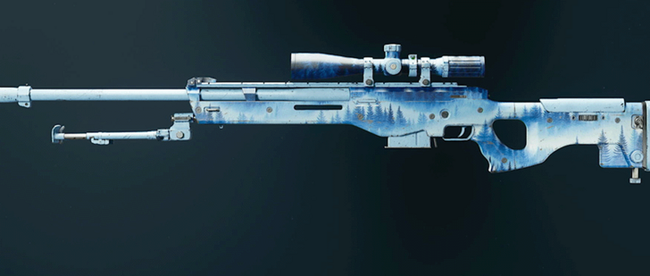 Black Ops 6 - Permafrost Camo