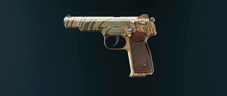 Black Ops 6 - Spin Camo