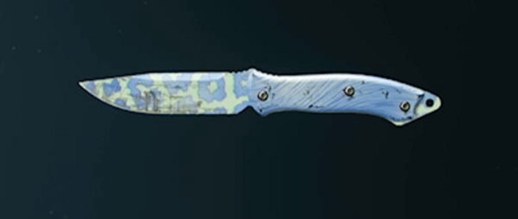 Black Ops 6 - Vacation Leopard Camo