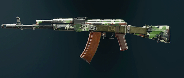 Black Ops 6 - Evergreen AK-74 Camo