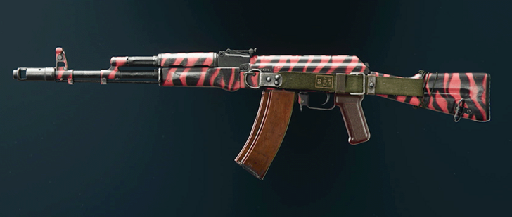 Black Ops 6 - Red Tiger AK-74 Camo