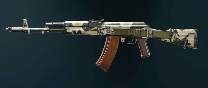 Black Ops 6 - Rugged AK-74 Camo