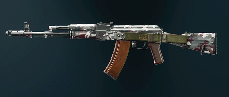 Black Ops 6 - Savanna AK-74 Camo