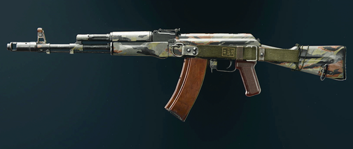Black Ops 6 - Stripe AK-74 Camo