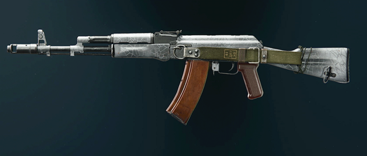 Black Ops 6 - Whiteout AK-74 Camo