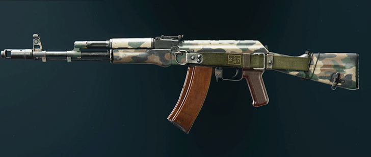 Black Ops 6 - Woodland AK-74 Camo