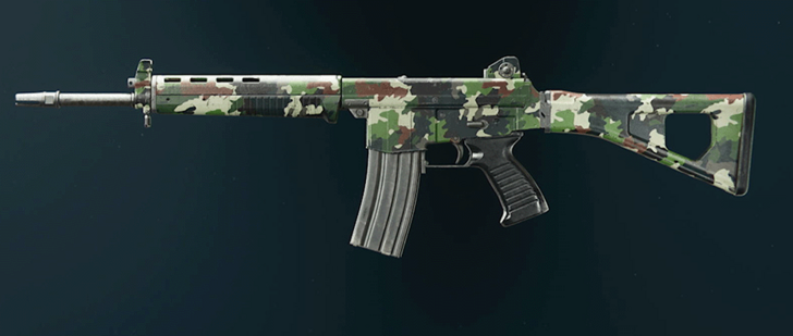 Black Ops 6 - Evergreen AMES 85 Camo