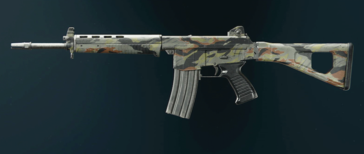 Black Ops 6 - Stripe AMES 85 Camo