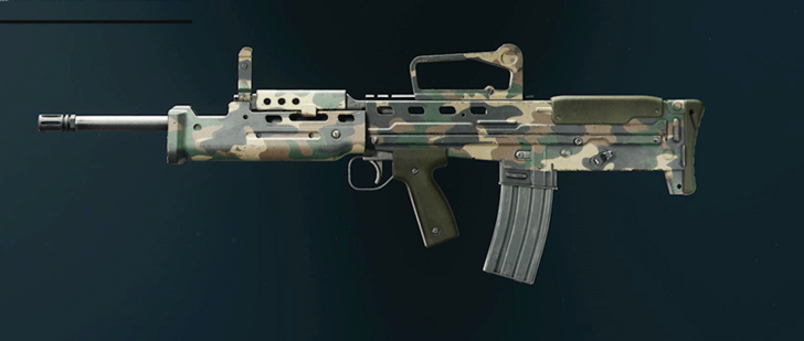 Black Ops 6 - Woodland GPR 91 Camo