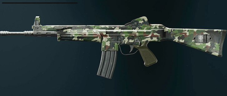 Black Ops 6 - Evergreen Model L Camo