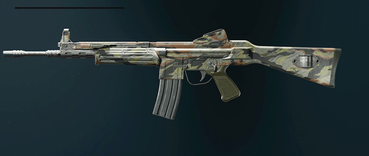 Black Ops 6 - Stripe Model L Camo