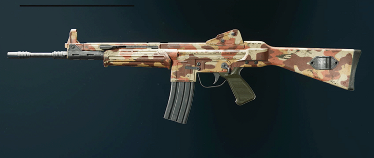 Black Ops 6 - Desert Model L Camo