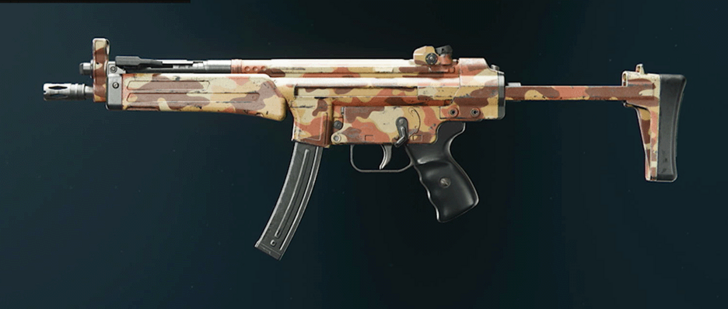 Black Ops 6 - Desert C9 Camo