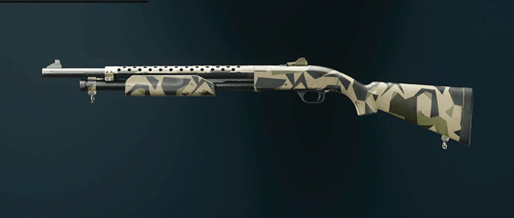 Black Ops 6 - Rugged Marine SP Camo