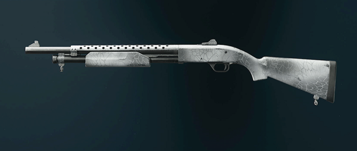 Black Ops 6 - Whiteout Marine SP Camo