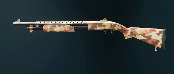 Black Ops 6 - Desert Marine SP Camo