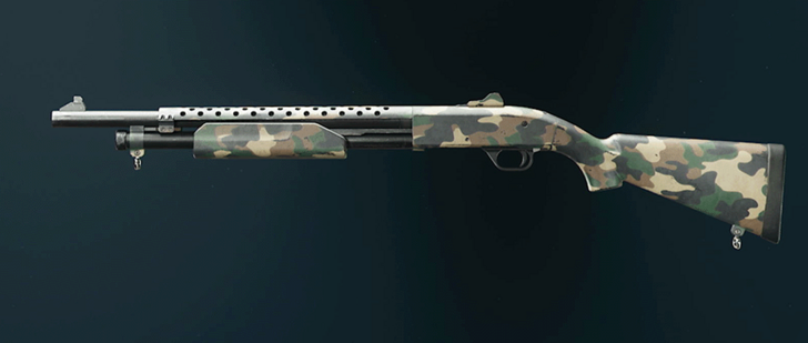 Black Ops 6 - Woodland Marine SP Camo