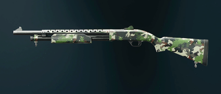 Black Ops 6 - Evergreen Marine SP Camo