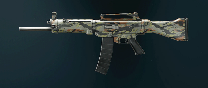Black Ops 6 - Stripe ASG-89 Camo