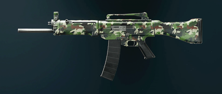 Black Ops 6 - Evergreen ASG-89 Camo