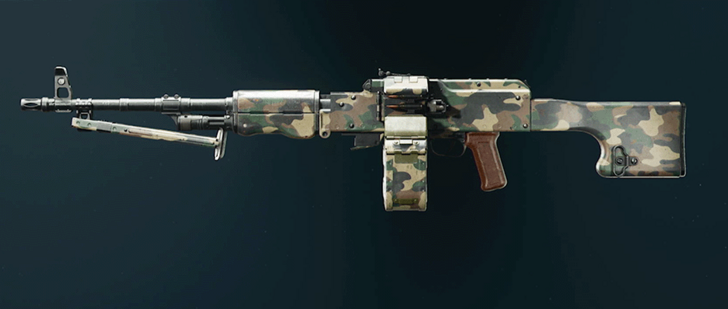 Black Ops 6 - Woodland PU-21 Camo