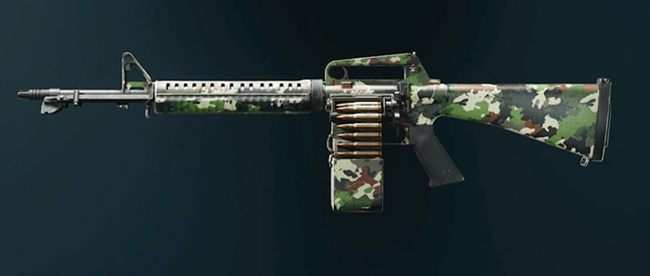 Black Ops 6 - Evergreen XMG Camo