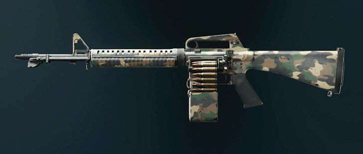 Black Ops 6 - Woodland XMG Camo