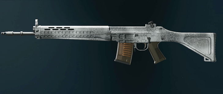 Black Ops 6 - Whiteout SWAT 5.56 Camo