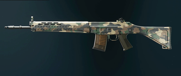 Black Ops 6 - Woodland SWAT 5.56 Camo