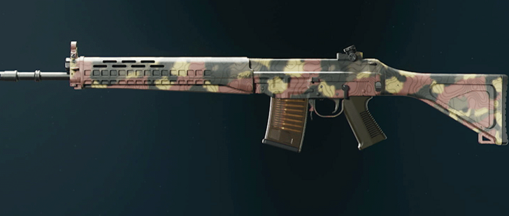 Black Ops 6 - Grim SWAT 5.56 Camo