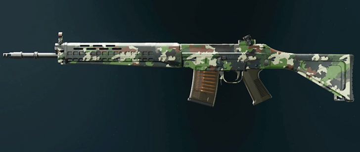 Black Ops 6 - Evergreen SWAT 5.56 Camo