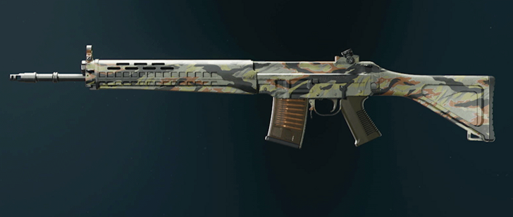 Black Ops 6 - Stripe SWAT 5.56 Camo