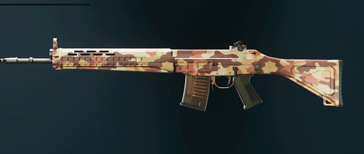 Black Ops 6 - Desert SWAT 5.56 Camo