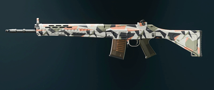 Black Ops 6 - Splinter SWAT 5.56 Camo
