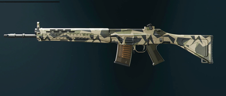 Black Ops 6 - Rugged SWAT 5.56 Camo