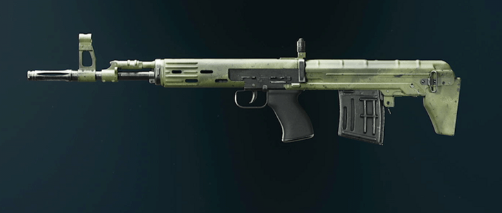 Black Ops 6 - Granite Tsarkov 7.62 Camo