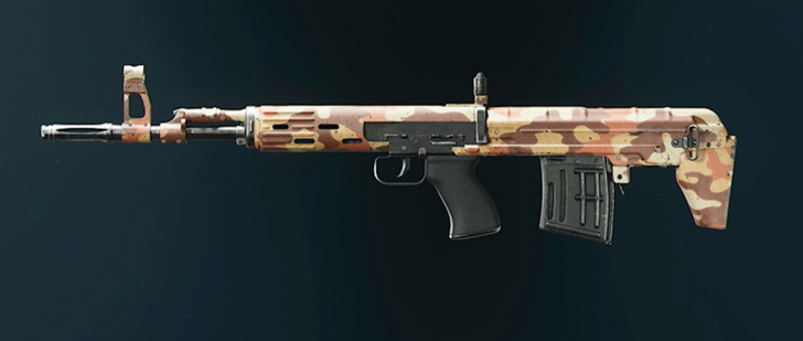 Black Ops 6 - Desert Tsarkov 7.62 Camo