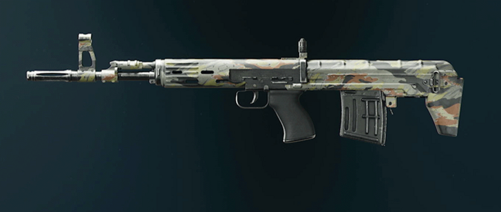 Black Ops 6 - Stripe Tsarkov 7.62 Camo