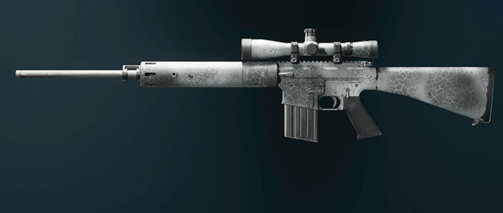 Black Ops 6 - Whiteout DM-10 Camo