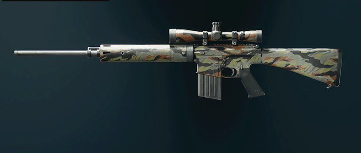 Black Ops 6 - Stripe DM-10 Camo