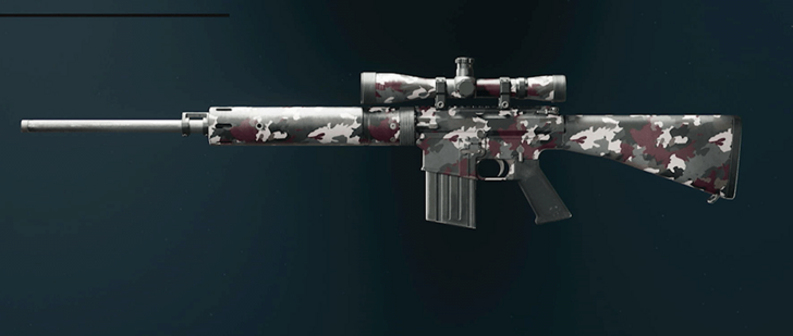 Black Ops 6 - Savanna DM-10 Camo