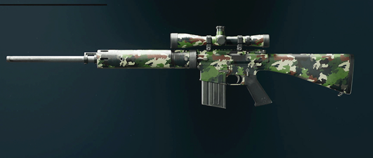 Black Ops 6 - Evergreen DM-10 Camo