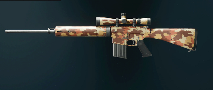 Black Ops 6 - Desert DM-10 Camo