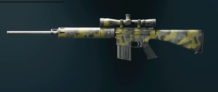 Black Ops 6 - Moss DM-10 Camo