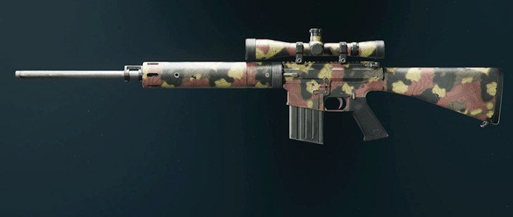 Black Ops 6 - Grim DM-10 Camo