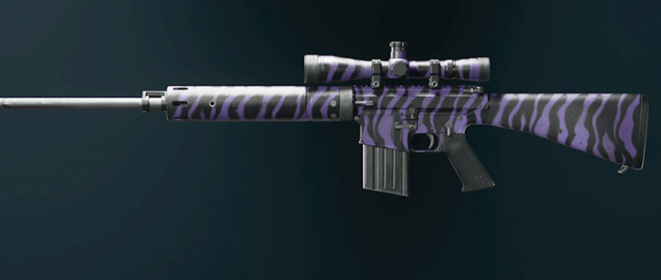 Black Ops 6 - Purple Tiger DM-10 Camo