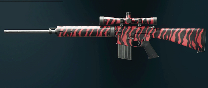 Black Ops 6 - Red Tiger DM-10 Camo