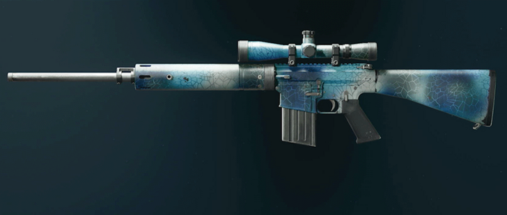 Black Ops 6 - Tide DM-10 Camo